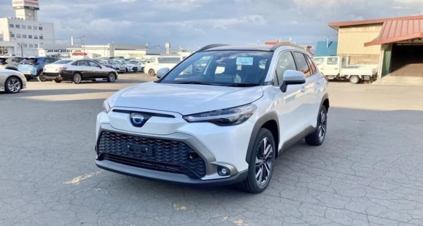 1632559923748621.png image.png