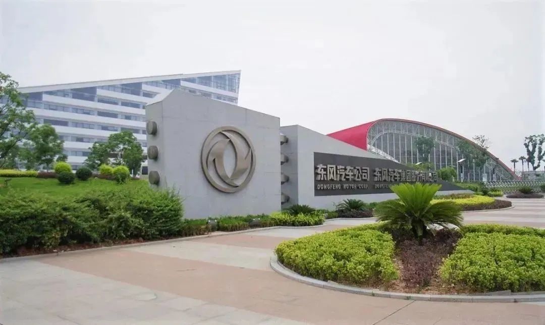 1718096517585003.jpeg 640-1.jpeg